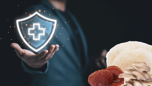 Los beneficios de los hongos medicinales para el sistema inmunológico - NUALAT
