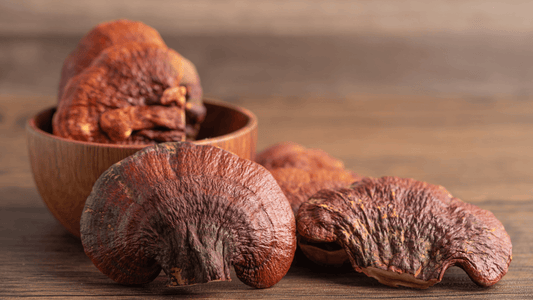 Ganoderma Lucidum (Reishi): Propiedades y aplicaciones para la salud - NUALAT