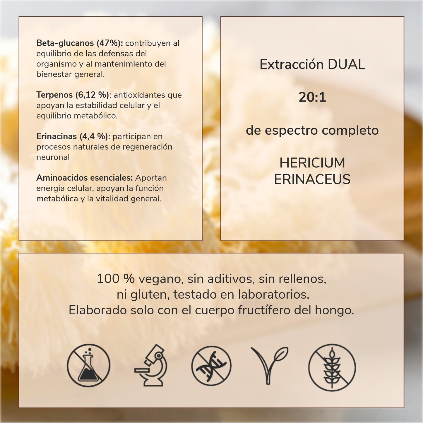 Extracto Melena de León