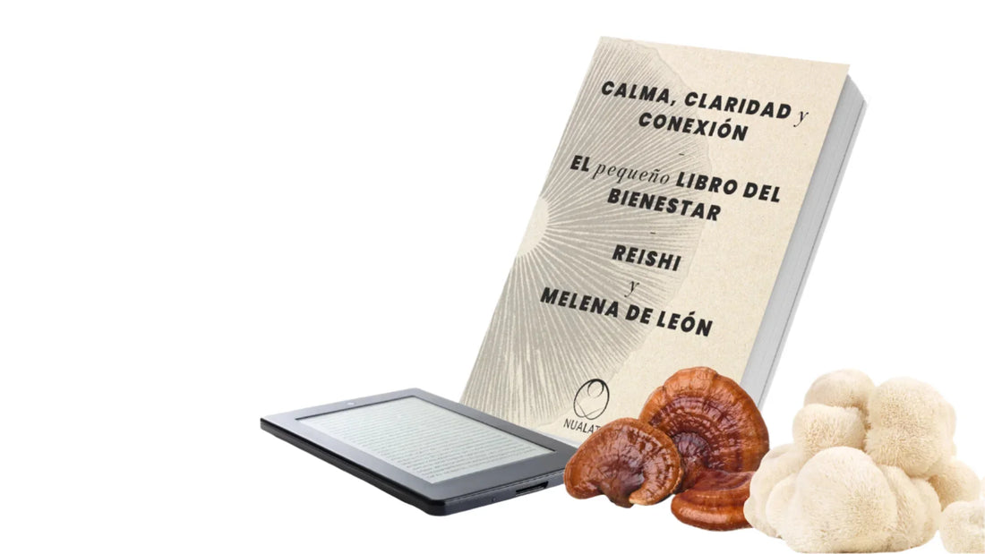 Cómo combinar Reishi y Melena de León en un estilo de vida saludable