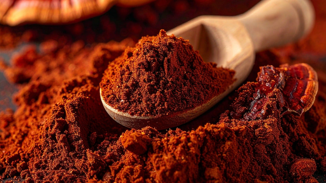 Extracto de Reishi de Calidad