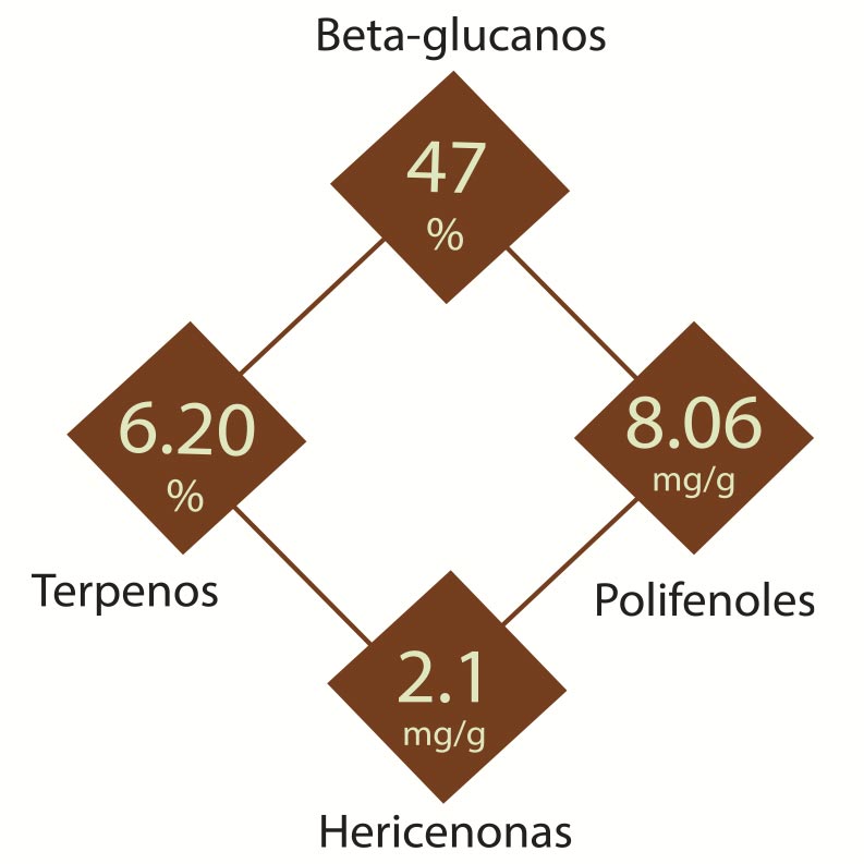 Extracto de Melena de León en cápsulas - NUALAT