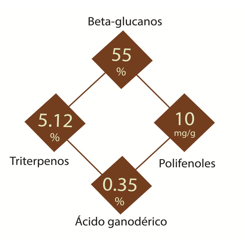 Extracto de Reishi Rojo en cápsulas - NUALAT