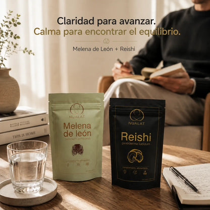 Pouches de Melena de León y Reishi NUALAT en una escena de lectura y bienestar